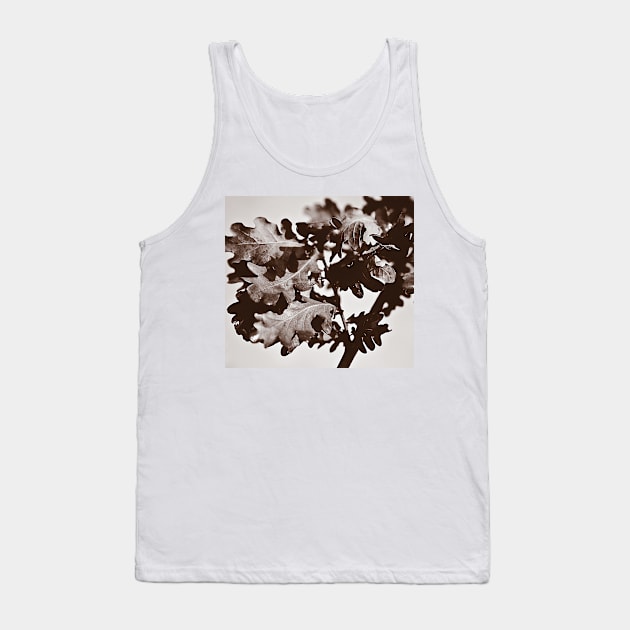 ‘Oak Leaf Cluster’ - a sepia-treated image Tank Top by sleepingdogprod